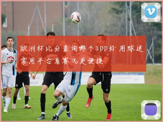 欧洲杯比分查询哪个app好 用球迷常用平台看赛况更便捷