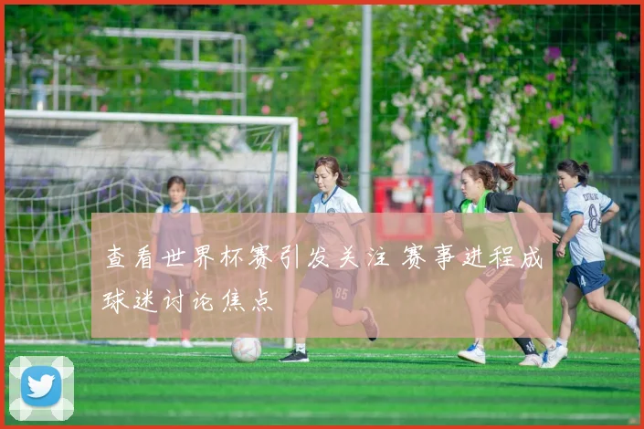 查看世界杯赛引发关注 赛事进程成球迷讨论焦点