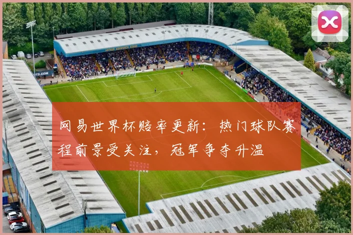 网易世界杯赔率更新：热门球队赛程前景受关注，冠军争夺升温